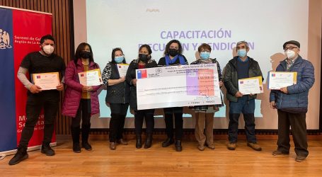 50 organizaciones sociales de La Araucanía fueron beneficiadas con recursos para financiar sus proyectos