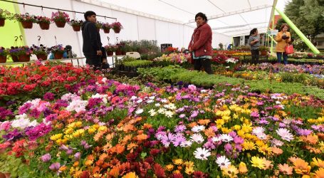 Expo Flores regresa al Parque Estadio de Temuco