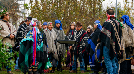 Pitrufquén: Comunidades mapuche izan bandera mapuche en Plaza Pedro Montt y descubren placa memorial