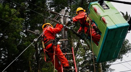 CGE activa plan de acción preventivo ante viento Puelche que afectará a la zona lacustre de La Araucanía