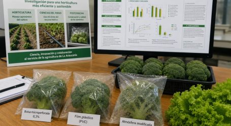 INIA Carillanca fortalece investigación en horticultura sostenible con estudios presentados en congreso internacional