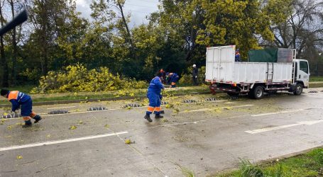 Más de 195 emergencias y cerca de 120 viviendas afectadas deja sistema frontal en Temuco