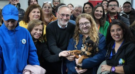 Gobierno de La Araucanía impulsa inédito programa para enfrentar la sobrepoblación de perros y gatos