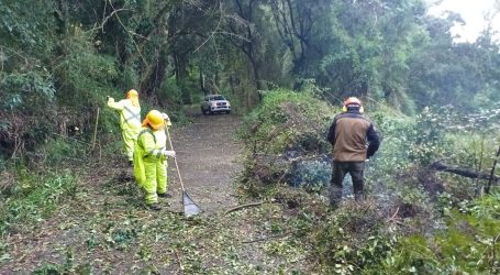 La Araucanía registra un acumulado de 153 milímetros, posicionándose entre las regiones con mayor monto de lluvia acumulada