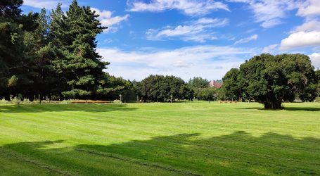 Temuco fortalece la gestión de sus áreas verdes con la aprobación del nuevo Departamento de Parques