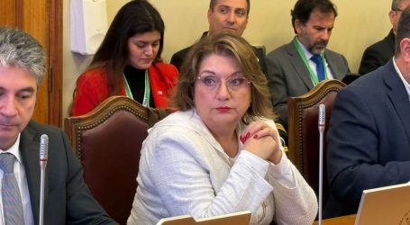 Diputada Parra pide a Ministra de Energía analizar factibilidad para una segunda línea de transmisión eléctrica para la Provincia de Malleco