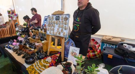 Municipalidad de Temuco impulsa a emprendedores locales con más de 450 espacios de comercialización durante septiembre